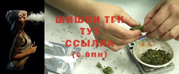 ГАЛЛЮЦИНОГЕННЫЕ ГРИБЫ Медногорск