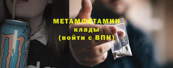 прущие грибы Михайлов