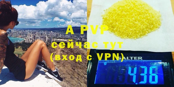 прущие грибы Михайлов