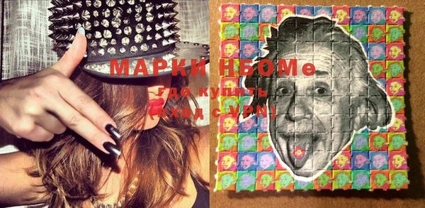 прущие грибы Михайлов