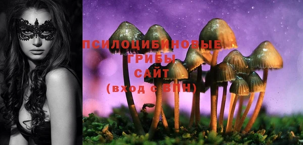 винт Канск