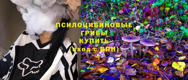 крисы Гусь-Хрустальный