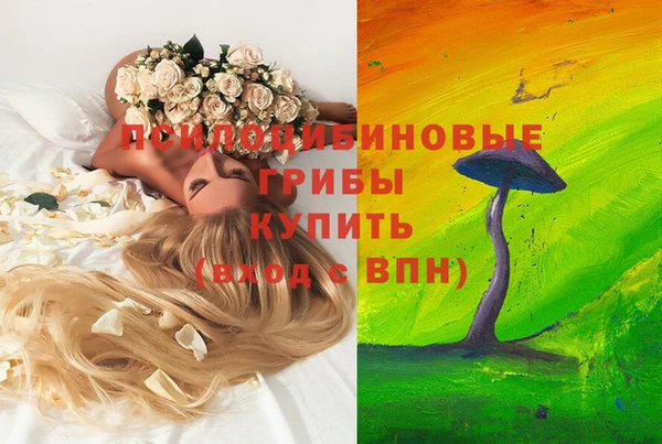 кристаллы Медвежьегорск