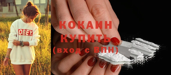 амф Михайловск